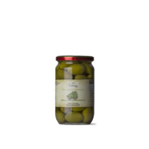 OLIVE BELLA DI CERIGNOLA IN SALAMOIA